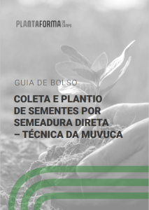 Guia Coleta E Plantio De Sementes Por Semeadura Direta T Cnica Da