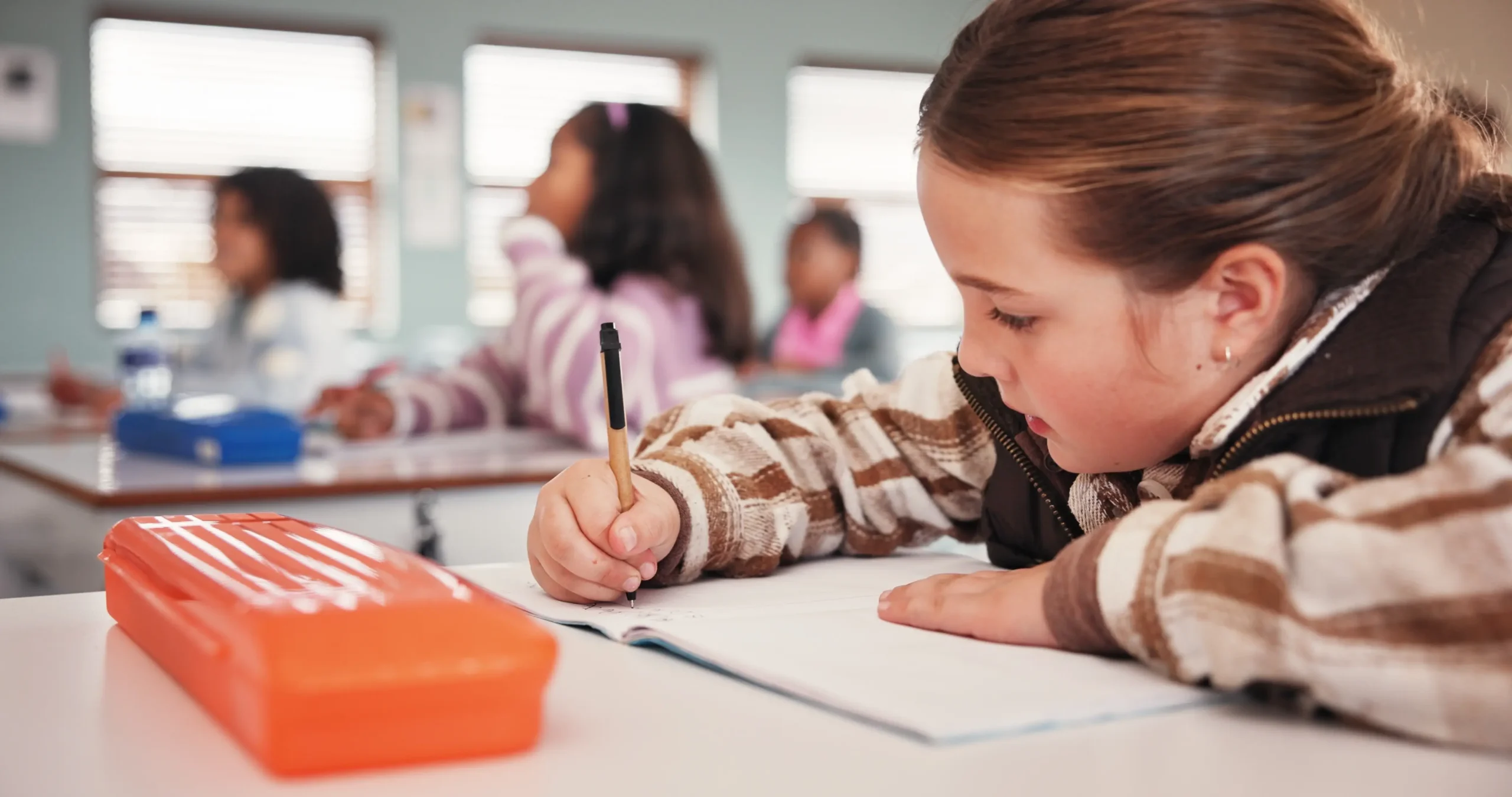 Diferentes concepções de aprendizagem e de língua sua relação com a prática docente nos Anos Iniciais do EF