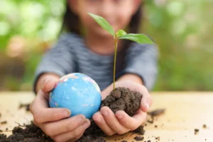 O desenvolvimento da consciência ambiental nos Anos Iniciais: estratégias pedagógicas e impacto na formação cidadã 